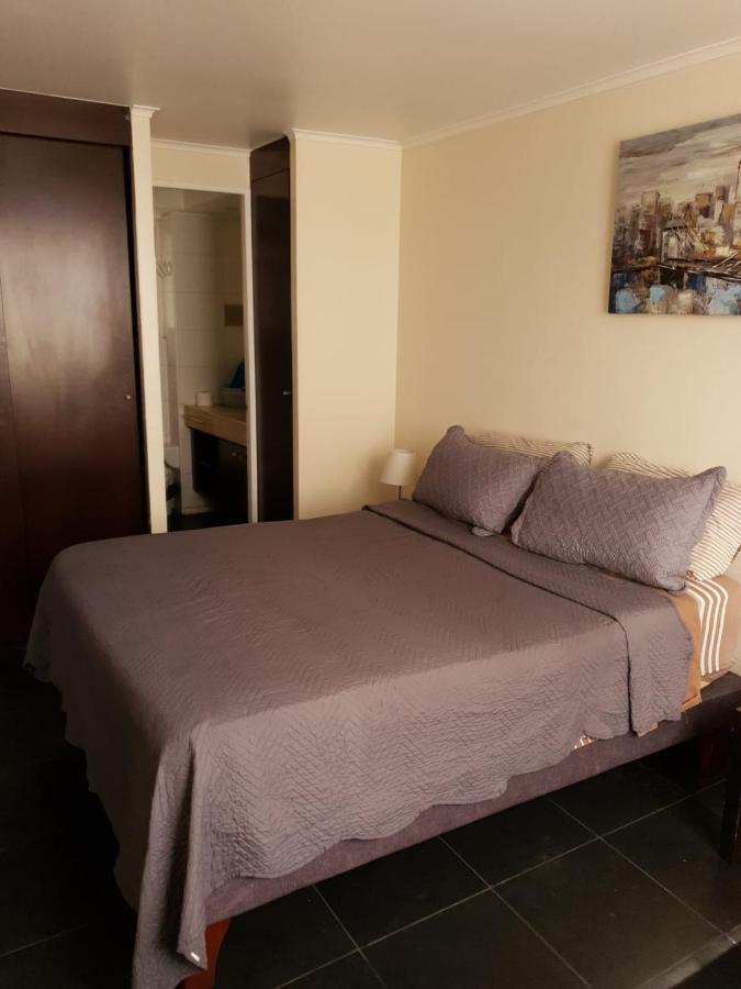 Appartamento Departamento con Terraza R&M Santiago del Cile Esterno foto