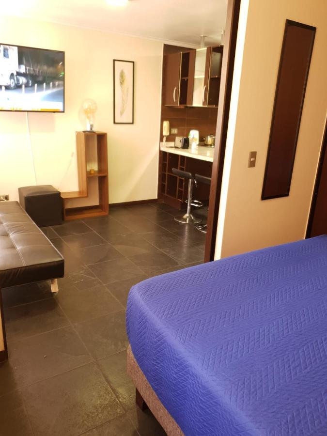 Appartamento Departamento con Terraza R&M Santiago del Cile Esterno foto